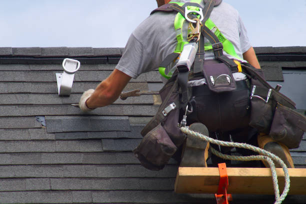 Best Roof Repair Services  in Robins, IA