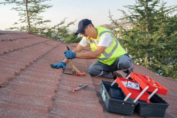 Best Roof Maintenance Services  in Robins, IA